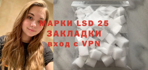 индика Волосово
