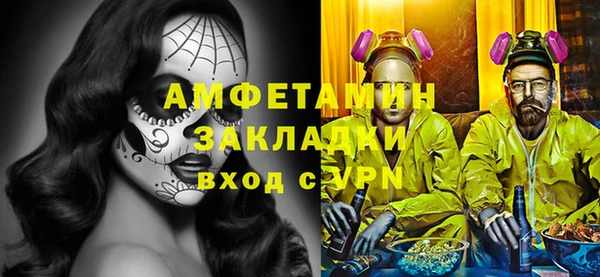индика Волосово