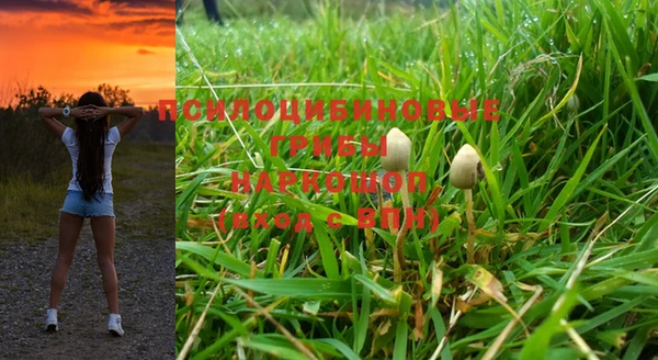 прущая мука Сясьстрой