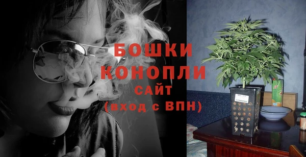 индика Волосово