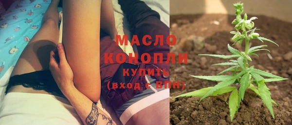 индика Волосово