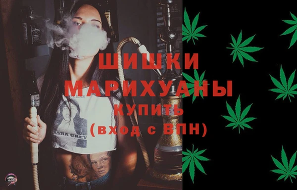 индика Волосово