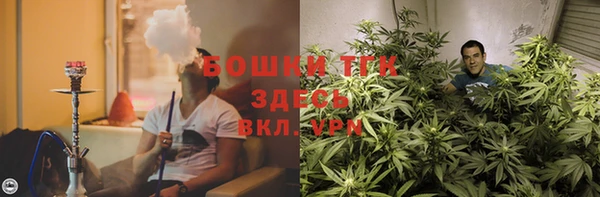 mdpv Тайга