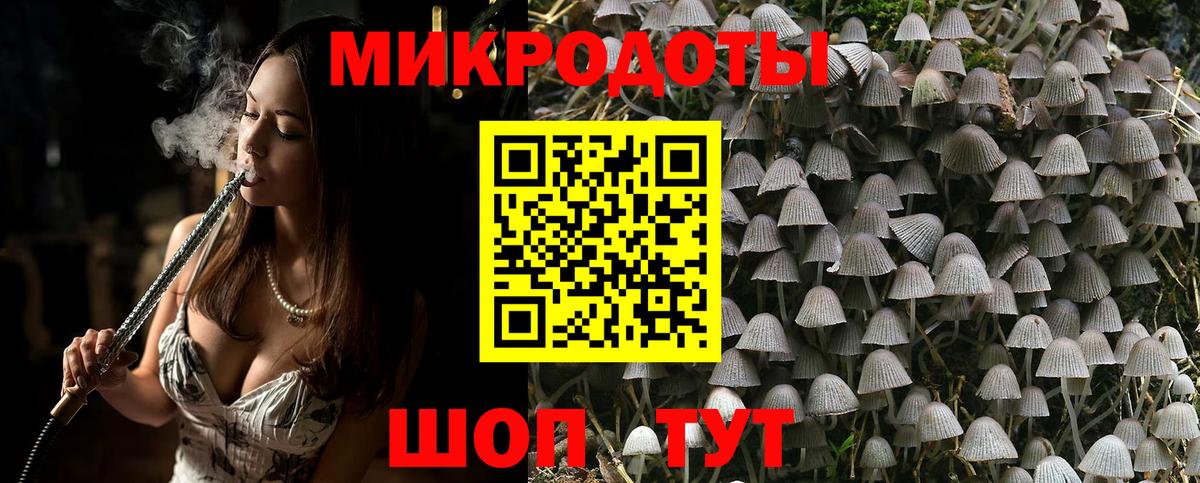 Псилоцибиновые грибы прущие грибы Медногорск
